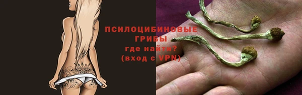 Альфа ПВП Михайловск