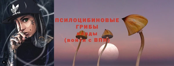 меф Медногорск