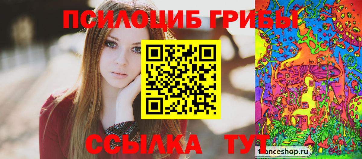 Галлюциногенные грибы Psilocybine cubensis Кольчугино