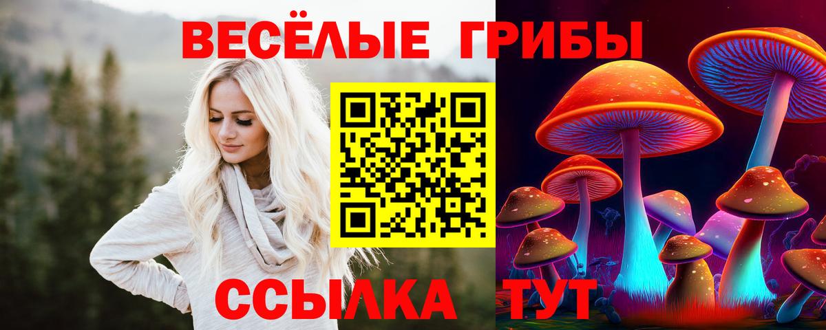 Кольчугино  как найти   Вход с VPN  Псилоцибиновые грибы мухоморы 