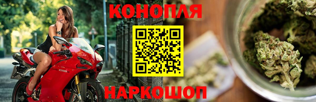 Бошки Шишки сатива  Вход с VPN  Кольчугино  Шишки марихуана гибрид 
